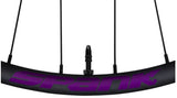 spank_rimdecal_purple