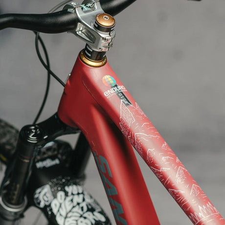 DYEDBRO MTB FRAME PROTECTION - ENDURO WORLD SERIES MOUNTAINS - Image 8