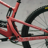 DYEDBRO MTB FRAME PROTECTION - ENDURO WORLD SERIES MOUNTAINS - Image 10