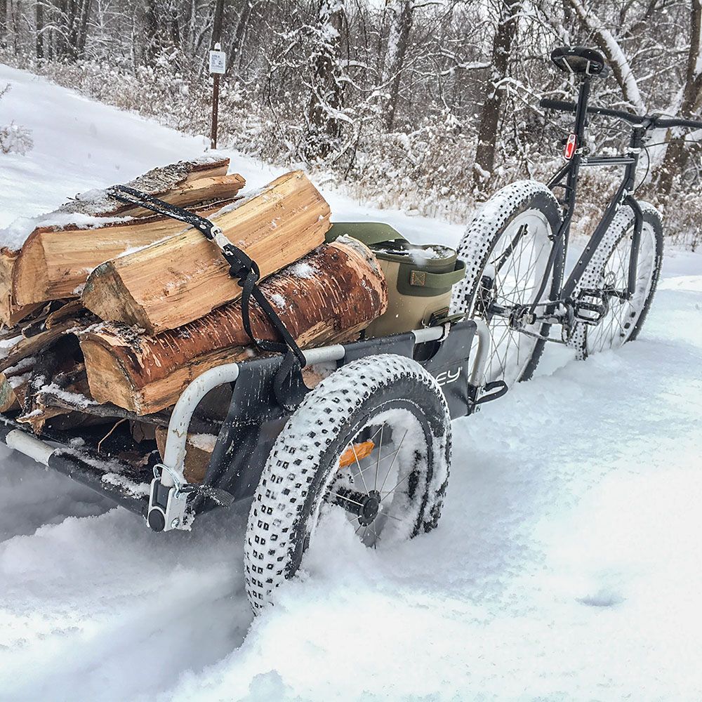 Burley Flatbed Cargo Trailer